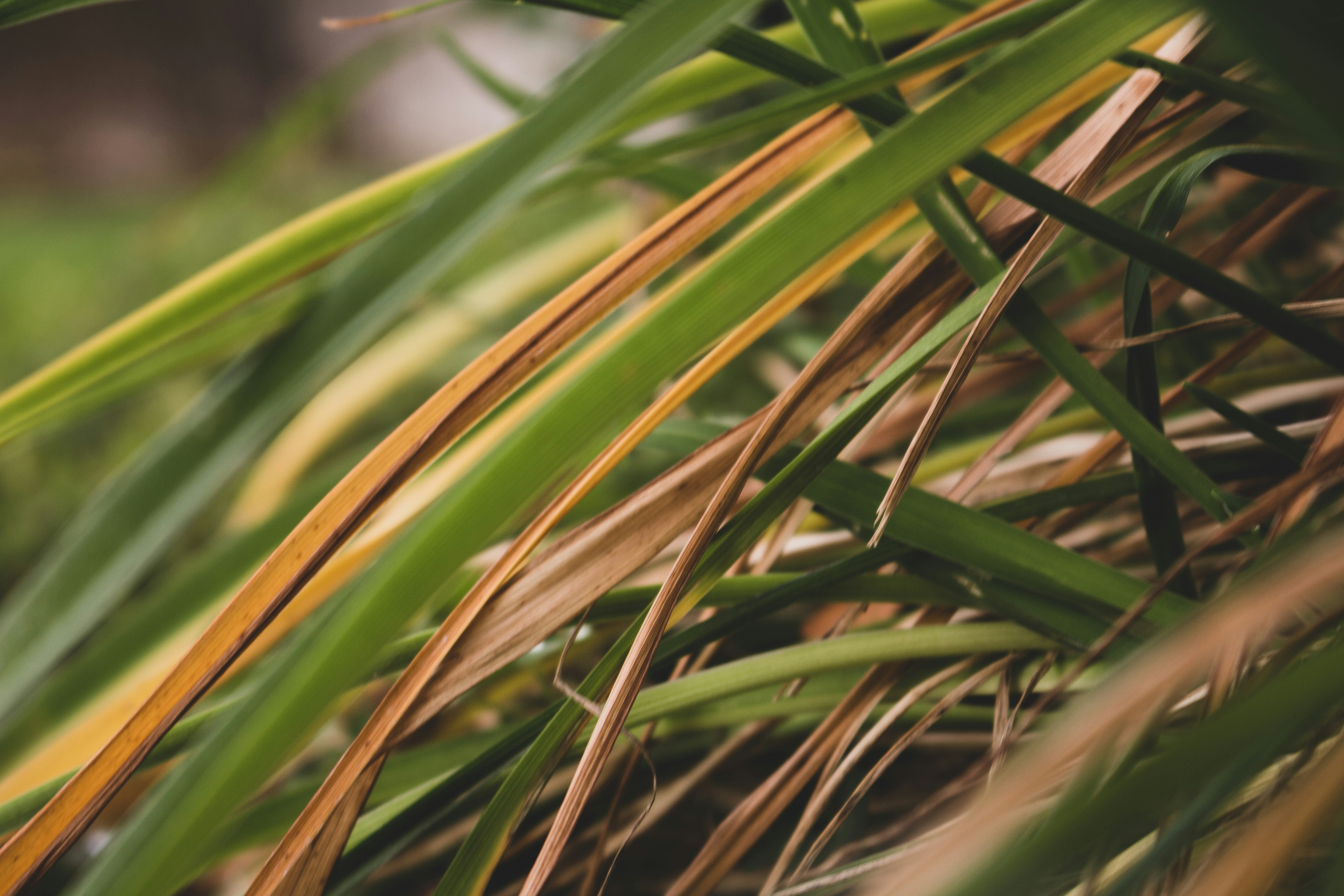 Photo by dallasreedy