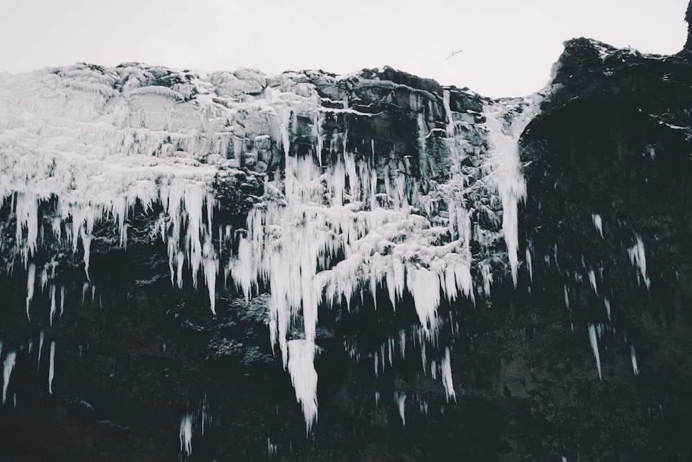 greyscale photo of cave stalagmites