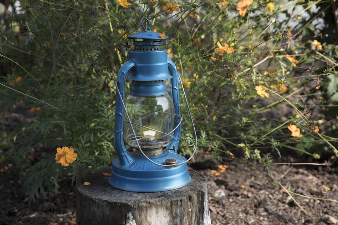 blue metal lantern on wooden tree stump, Amish flower garden.
