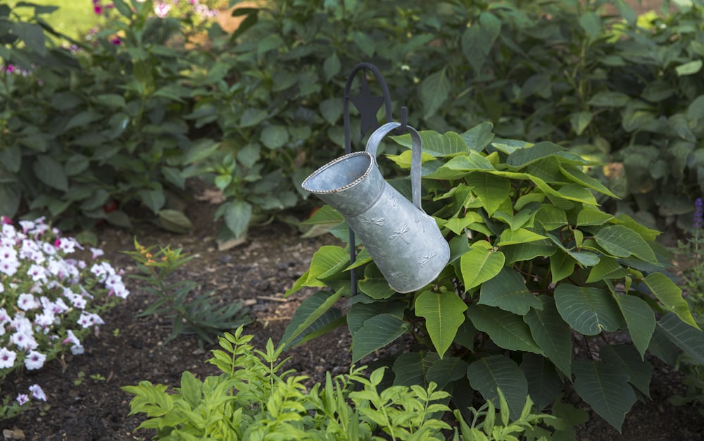 gray watering can