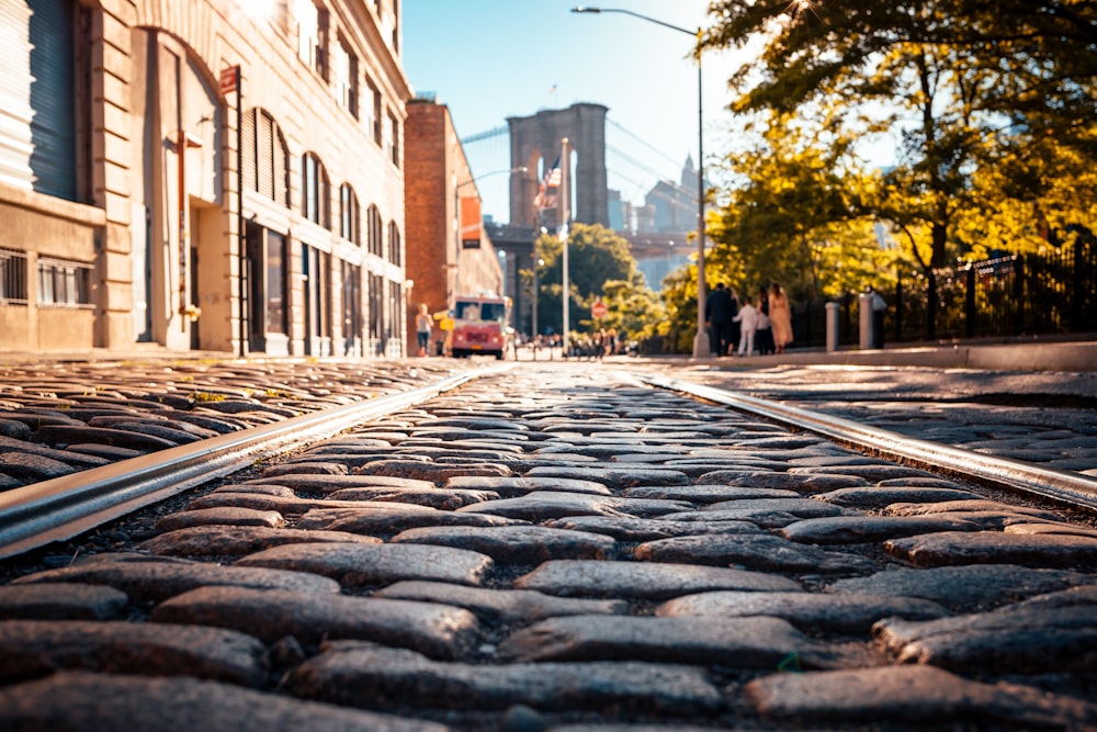 gray bricks road between tall trees and building