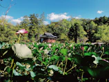 Outdoor view of Yatrinest building surrounded by greenery in Srirangam