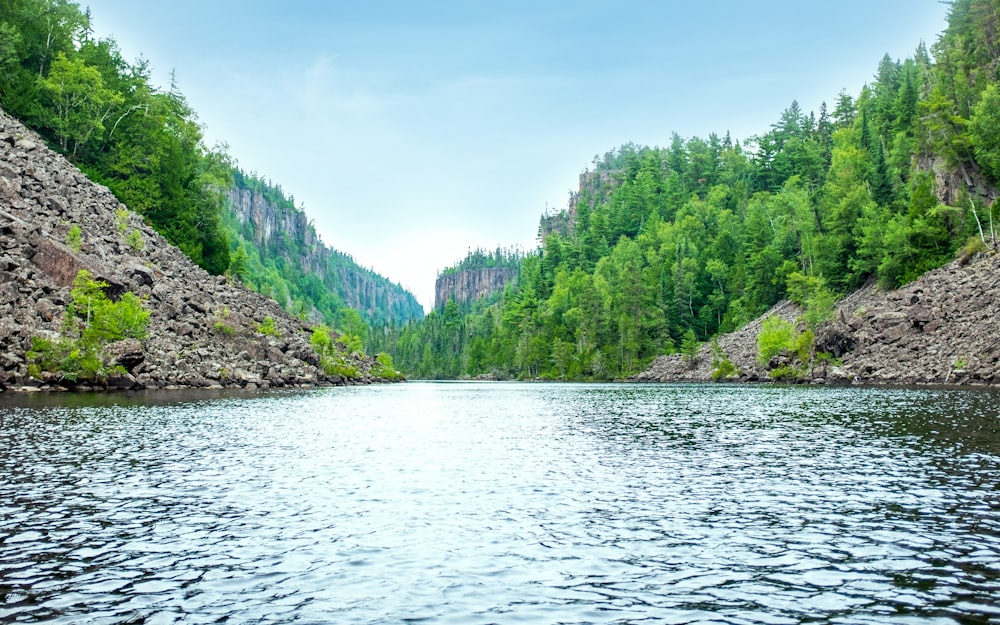 landscape photography of green leafed trees