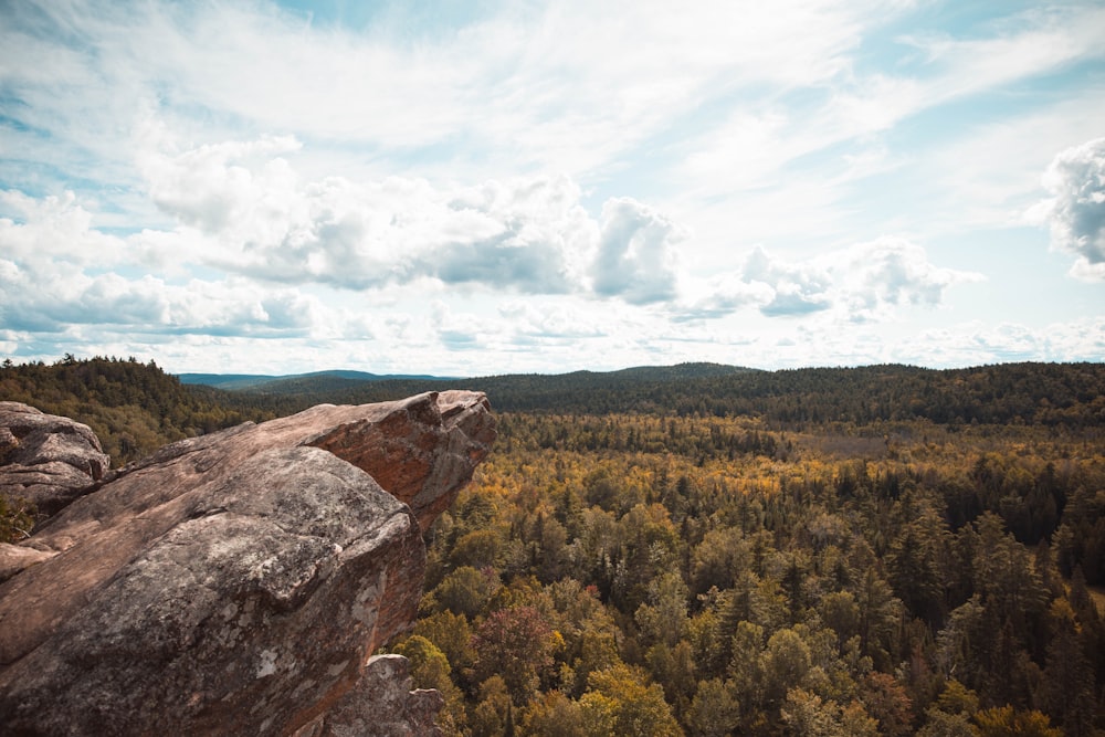 brown rock formation near green trees during daytime