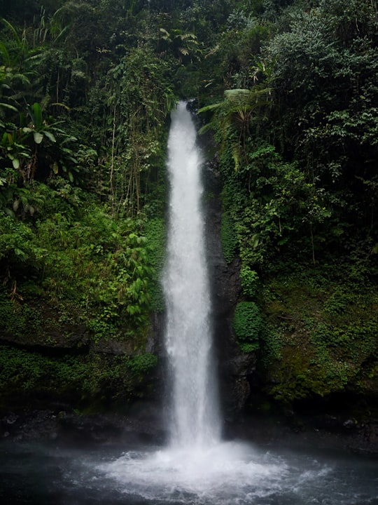 waterfalls in forest during daytime in Sukabumi Indonesia