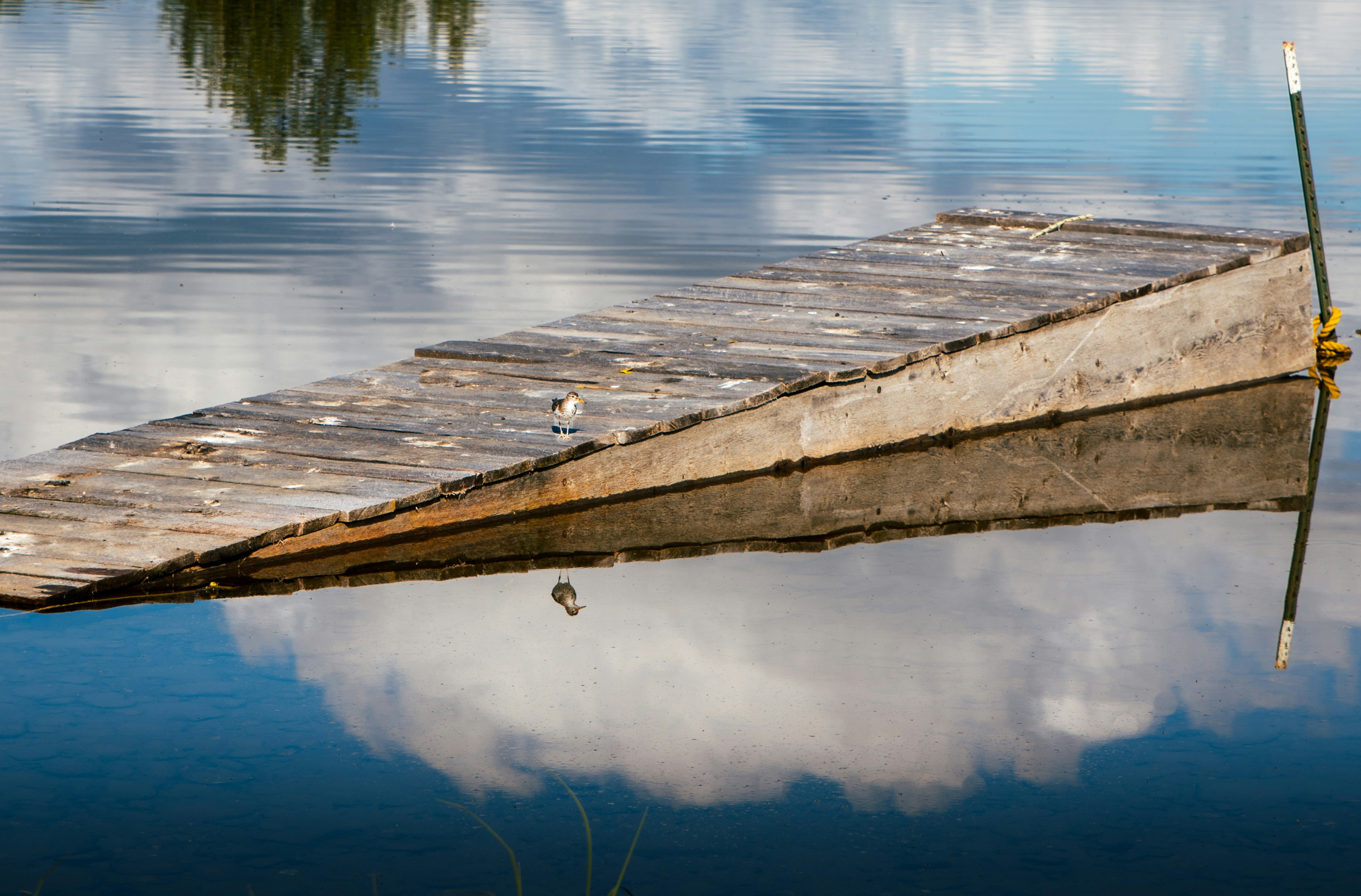 Photo by hariprasad000