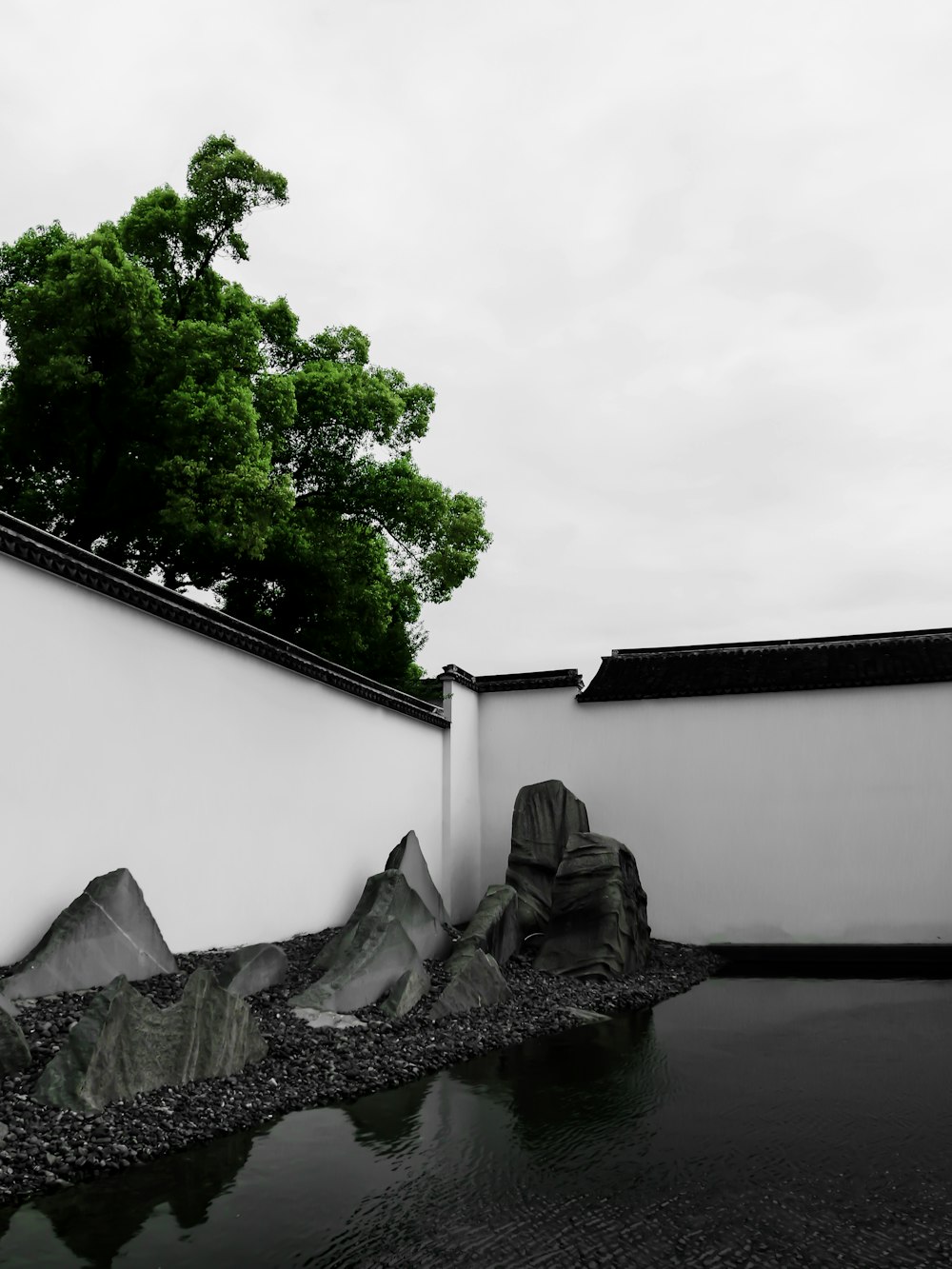 rock formation near green leafed tree