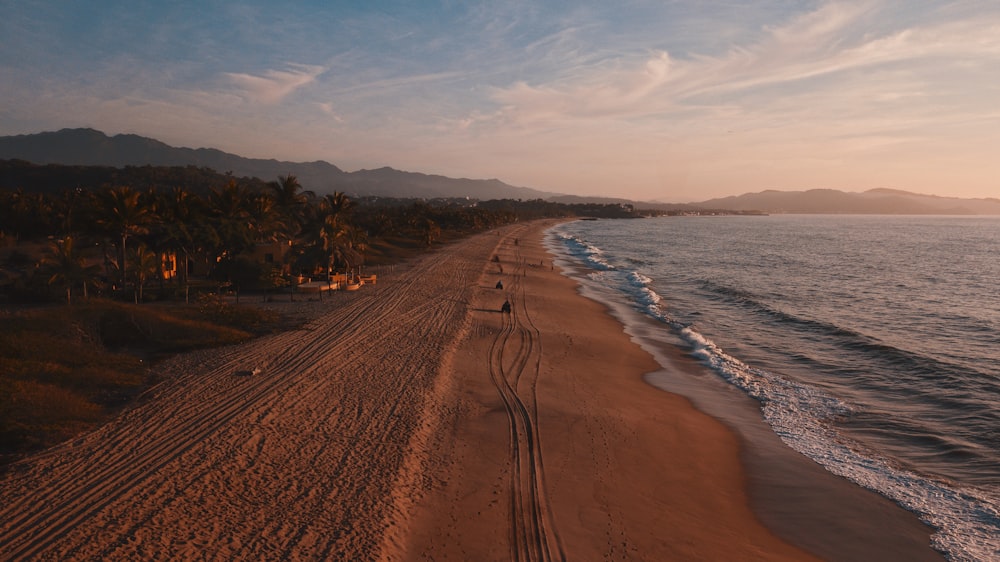 people at the beach during golden hour