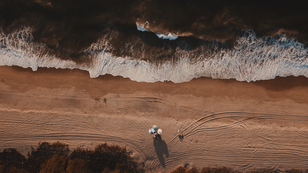 aerial view of beach