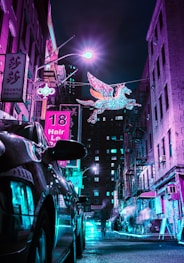 unicorn flying near road