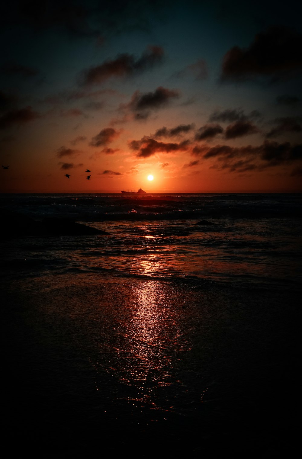 birds flying over wavy ocean during sunset