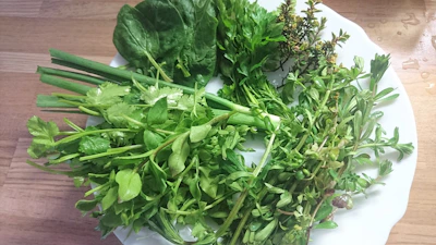 Close-up of fresh green herbs and plants arranged on a light wooden table.
