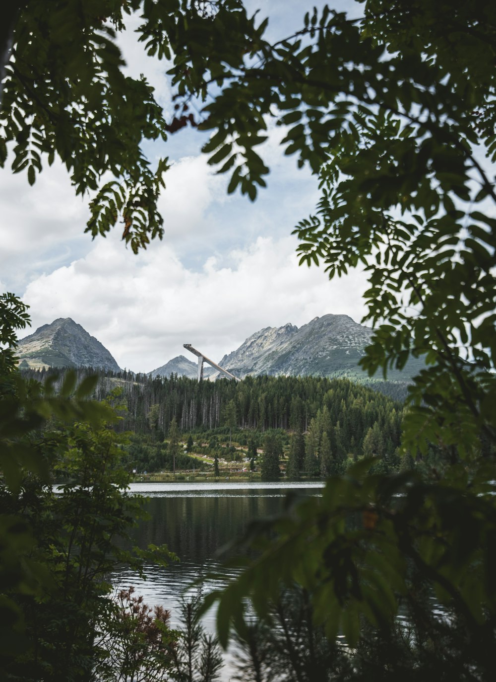 body of water surrounded by trees