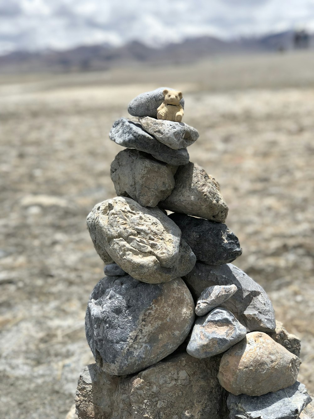 pile of rocks with brown bear at the top