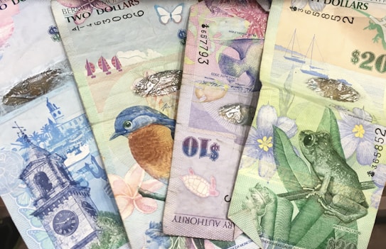 four assorted-denomination banknotes