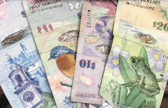 Several colorful banknotes are overlapping, each featuring unique designs such as animals, flowers, and scenic illustrations. The notes display varying currencies like the Bermuda dollar, adorned with images of a bird and a frog, along with intricate artistic details.