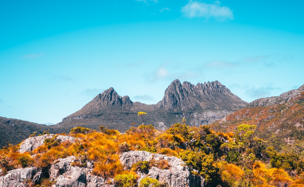 montagna rocciosa