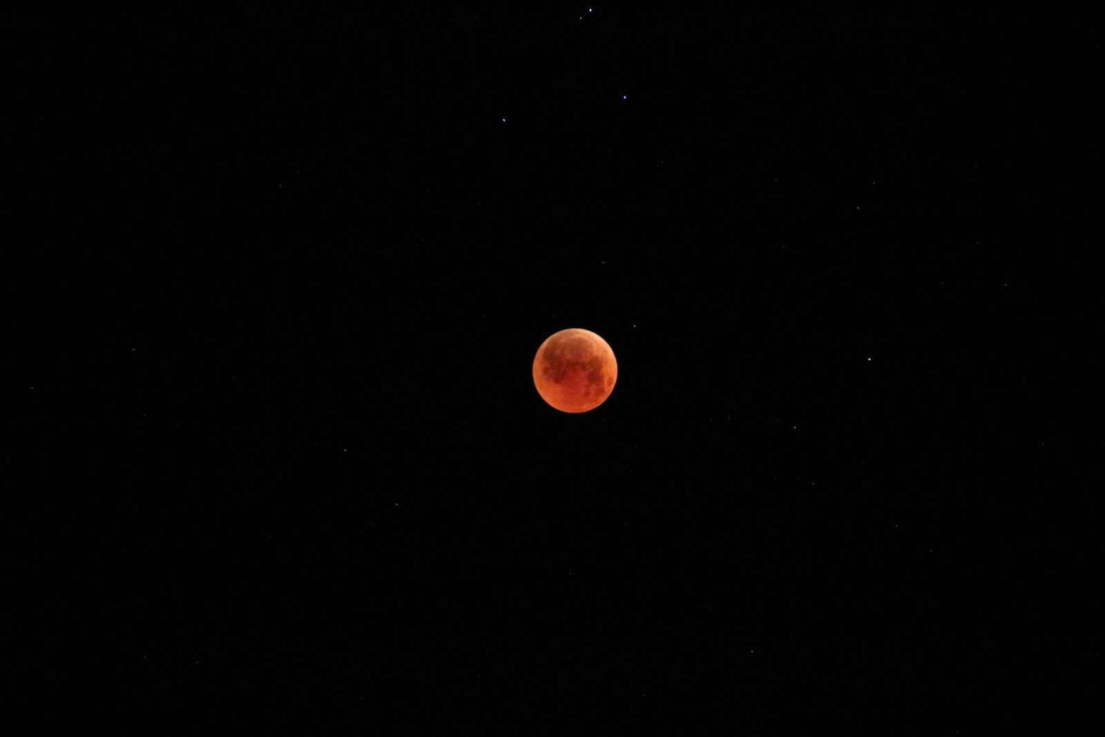 Canon EOS 600D (Rebel EOS T3i / EOS Kiss X5) + Tamron AF 18-200mm F3.5-6.3 XR Di II LD Aspherical (IF) Macro sample photo. Blood moon photography