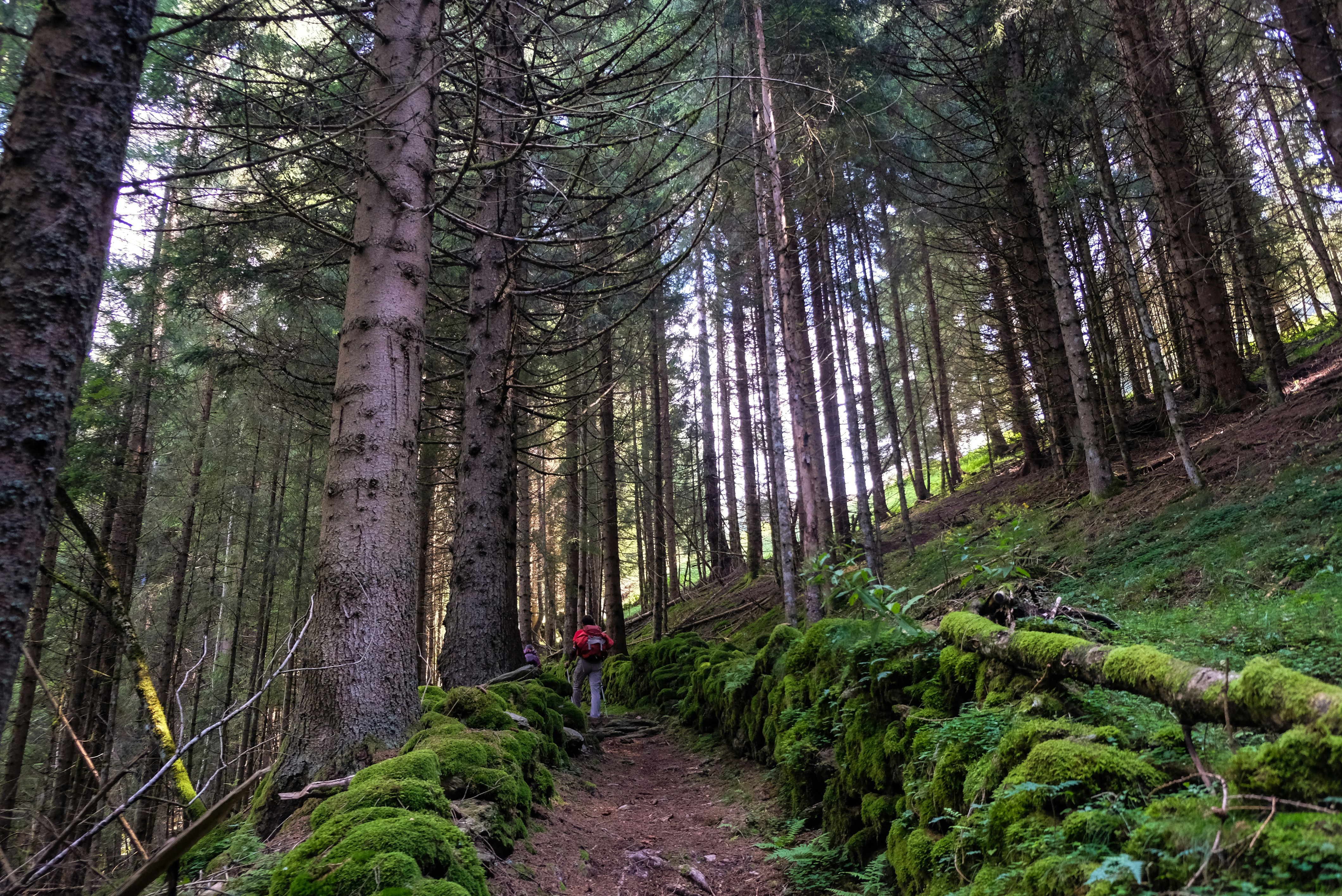 Photo by albertobigoni