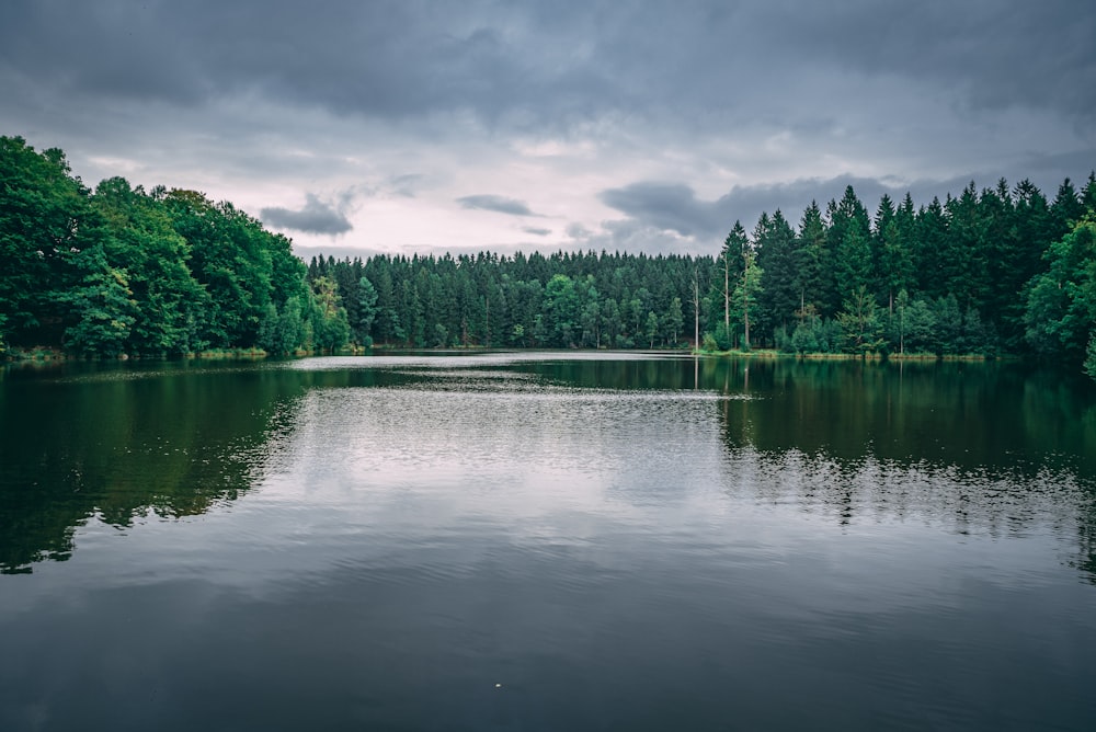 Photo de lac entouré d’arbres sous un ciel nuageux pendant la journée