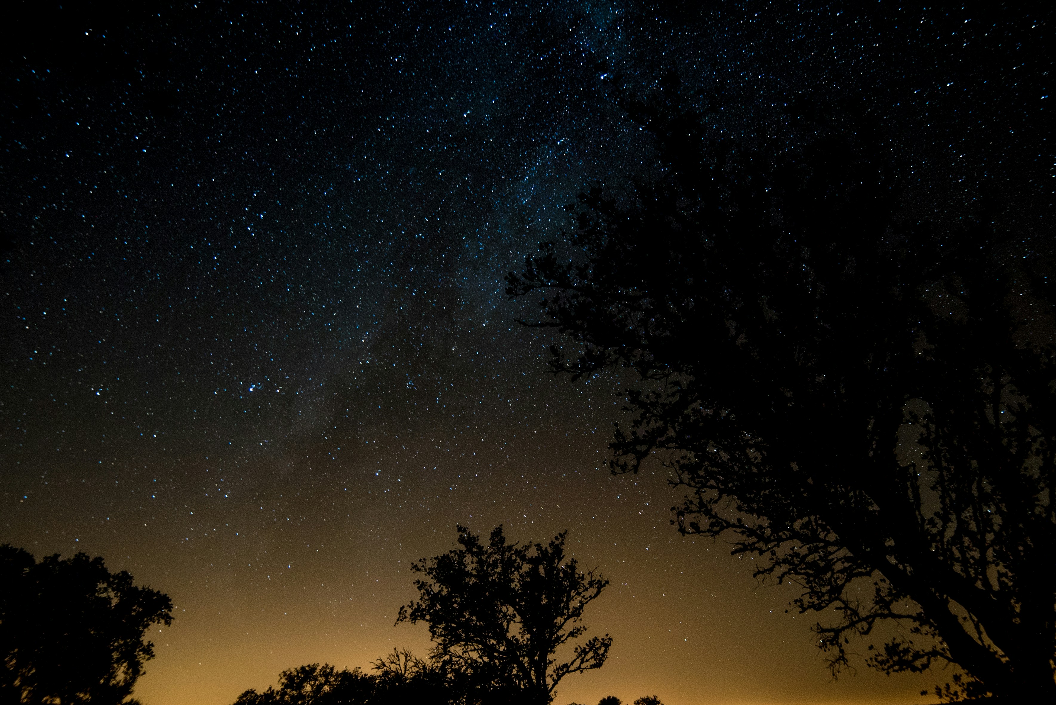 Rewiring the Blind Eye: How Retinal Implants Restore Vision