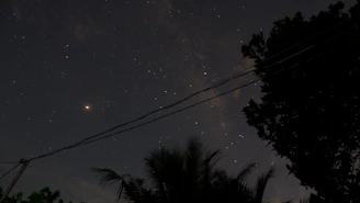 Night sky photograph with visible planetary alignments, reflecting the analytical approach to cosmic patterns.