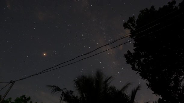 A celestial map showing planetary paths crossing zodiac signs under a starry night.