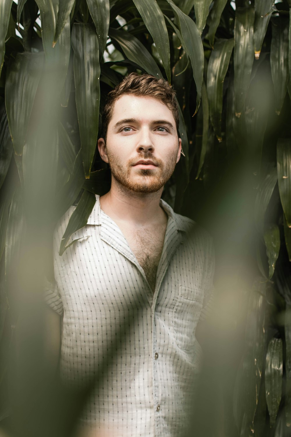 man standing under leaves of corn plant at daytime