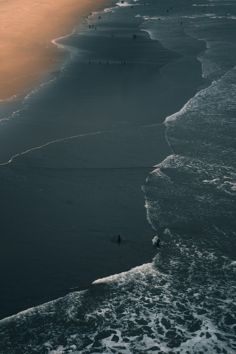 Fotografía a vista de pájaro de personas en la playa