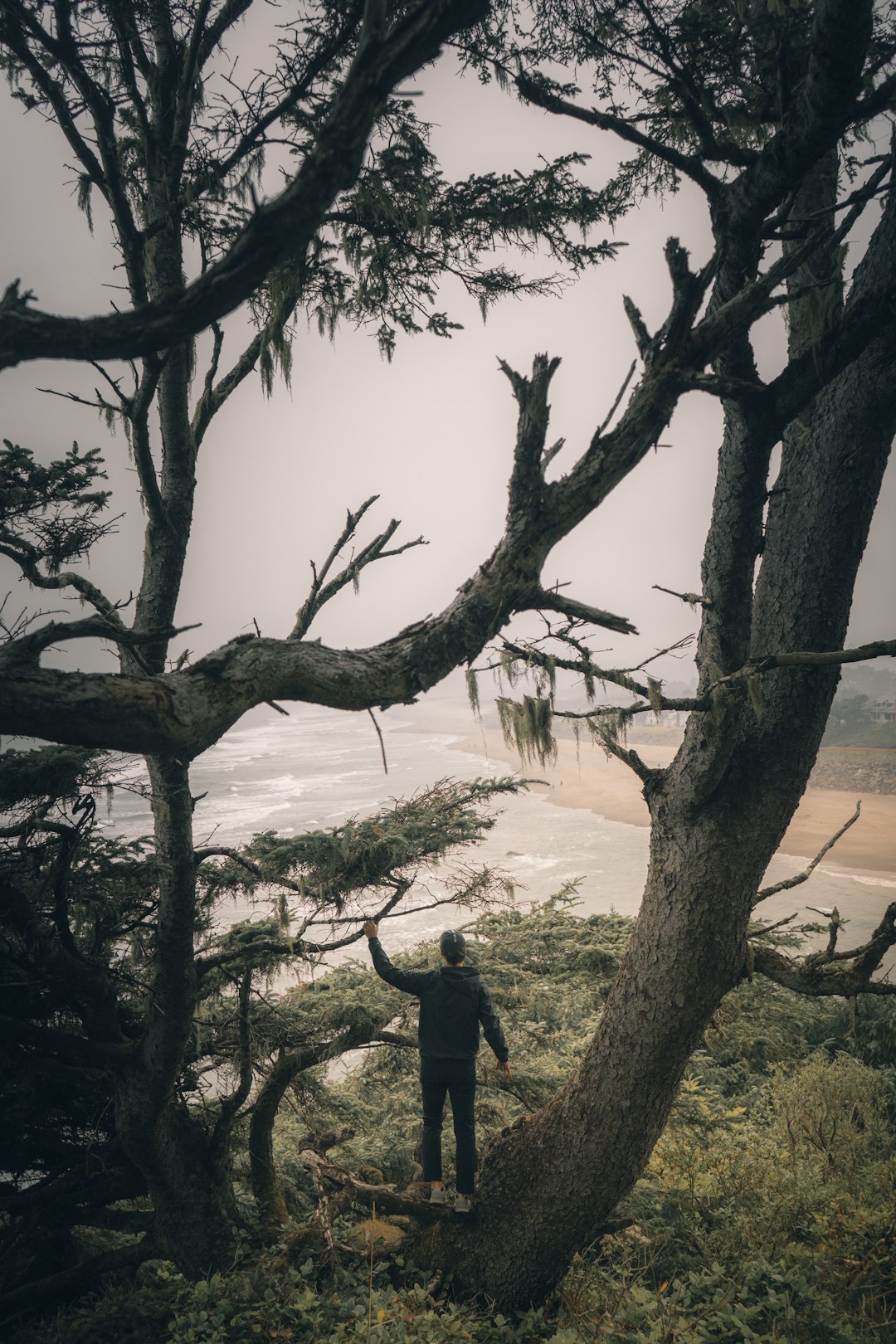 Forest photo spot Neskowin Cape Perpetua Overlook