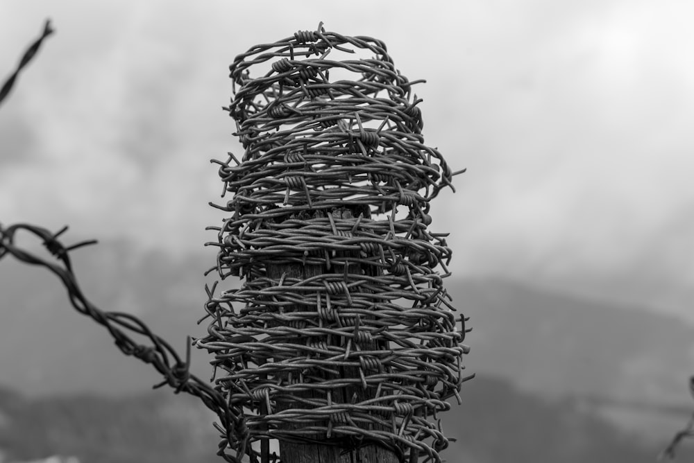 Foto en escala de grises de alambre de púas enrollado en un poste