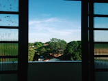 Window view showing lush greenery outside the suite.