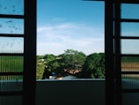 A family enjoying a view through spotless windows.