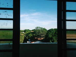 Window view showing lush greenery outside the suite.