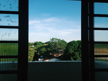 A sparkling clean window reflecting a bright blue sky with fresh green leaves nearby.