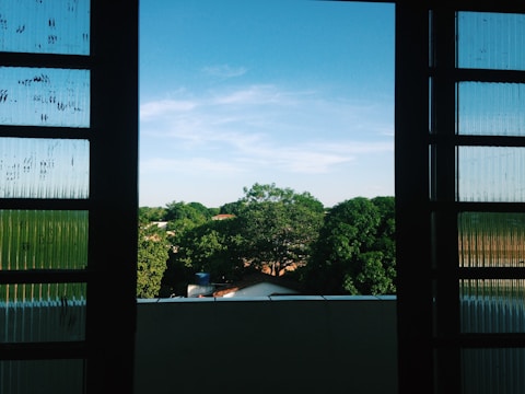 A family enjoying a view through spotless windows.