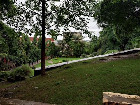 A lush green park area with various trees and shrubs. In the foreground, there is a sloped grassy surface, and a path leads towards a walkway surrounded by tall trees. Beyond the trees, there are buildings partly visible, possibly part of a campus or residential area.