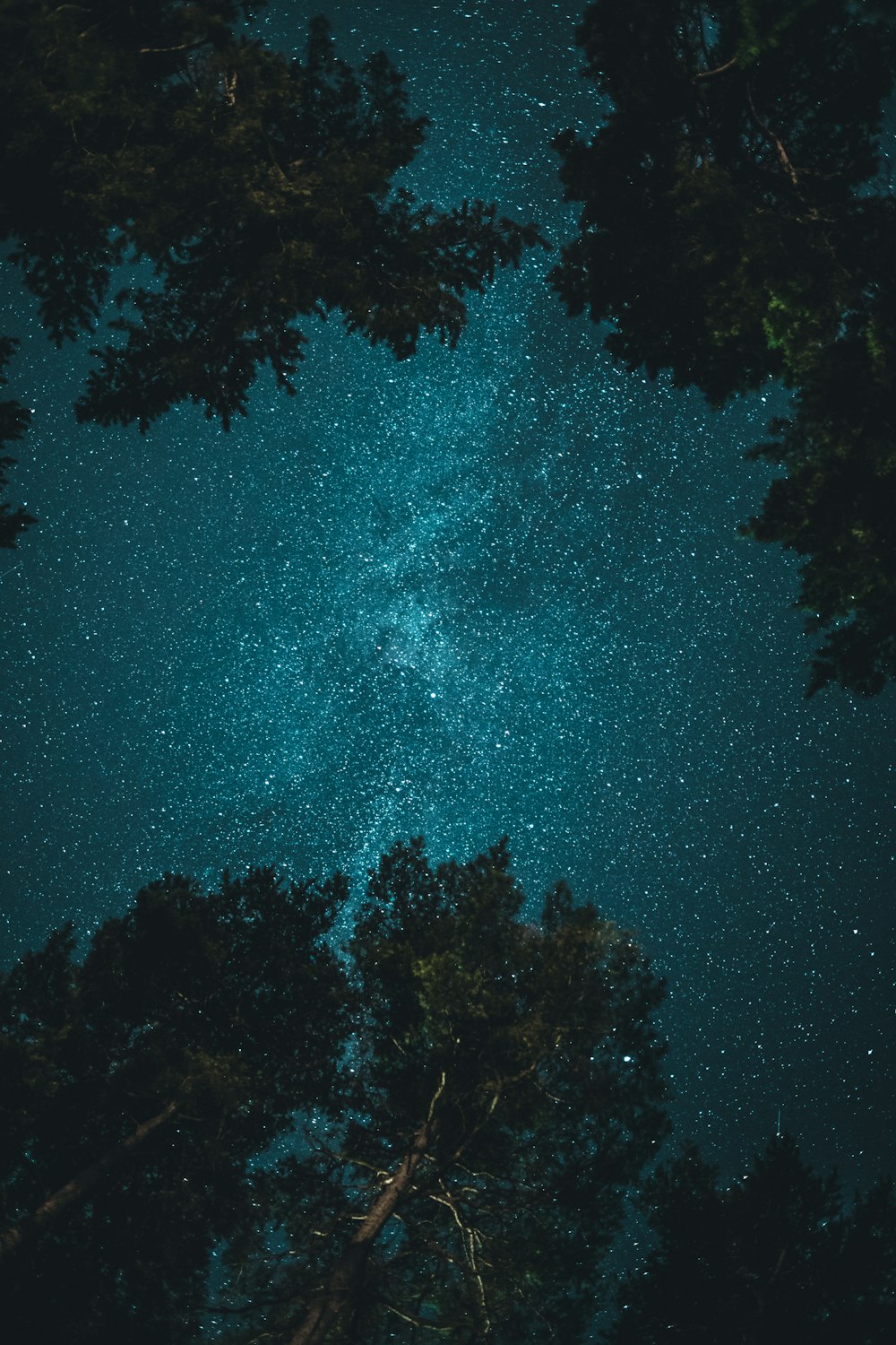 starry night