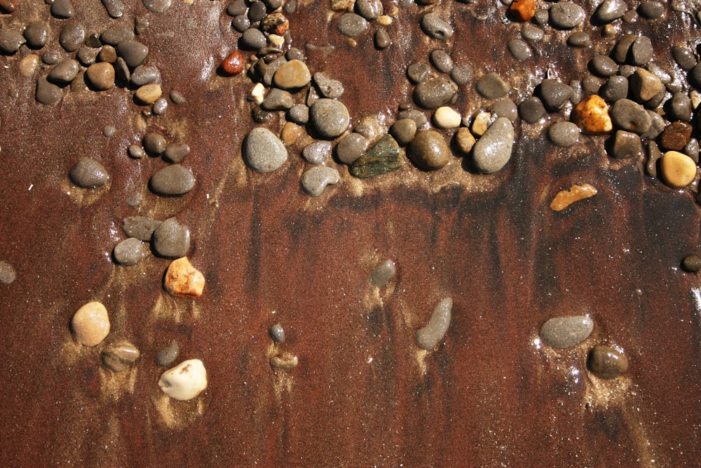 sable brun avec des pierres