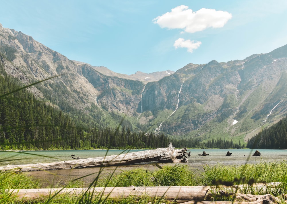 lake surrounded with trees viewing mountain under blue and white skies