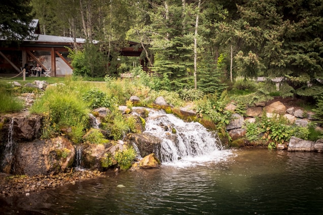 A small waterfall cascades over rocks into a calm pond surrounded by lush greenery and various plants. In the background, a rustic wooden structure with large windows is partially visible amidst the trees, creating a serene and natural setting. The area is lush with tall pine trees and shrubs.