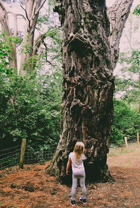 a little girl standing in front of a large tree