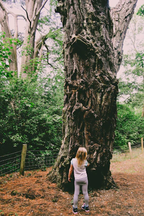a little girl standing in front of a large tree