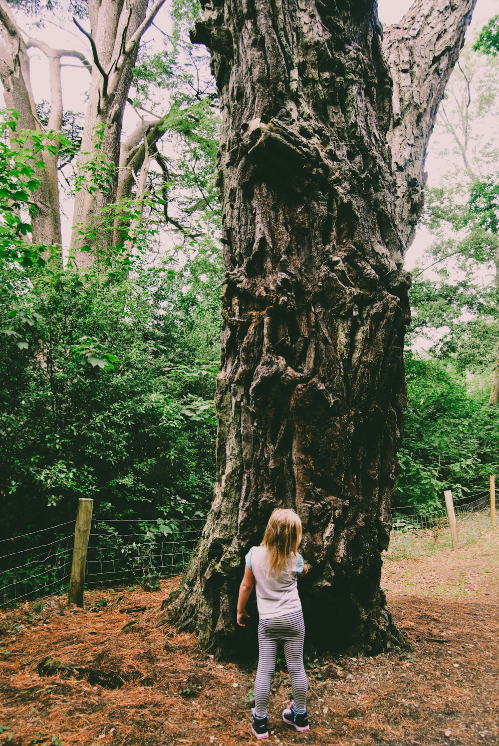 a little girl standing in front of a large tree