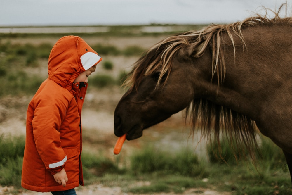 Selektive Fokusfotografie eines Kleinkindes, das vor dem Pferd steht