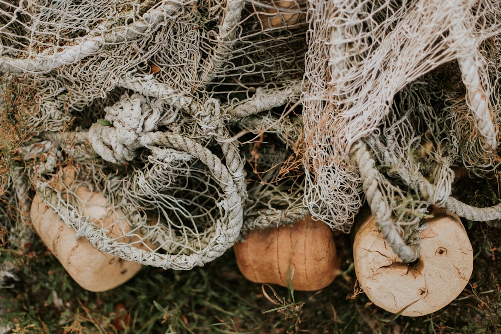 closeup photo of fish net