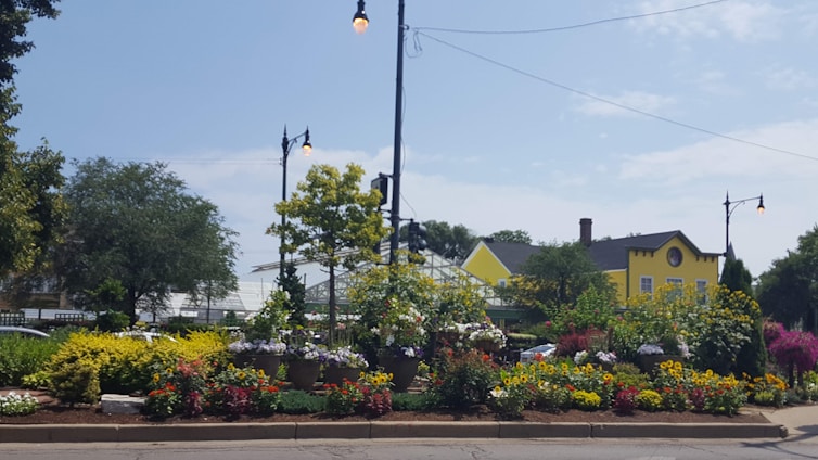 A beautifully landscaped front yard with vibrant flowers and neatly trimmed bushes glowing under soft sunlight.