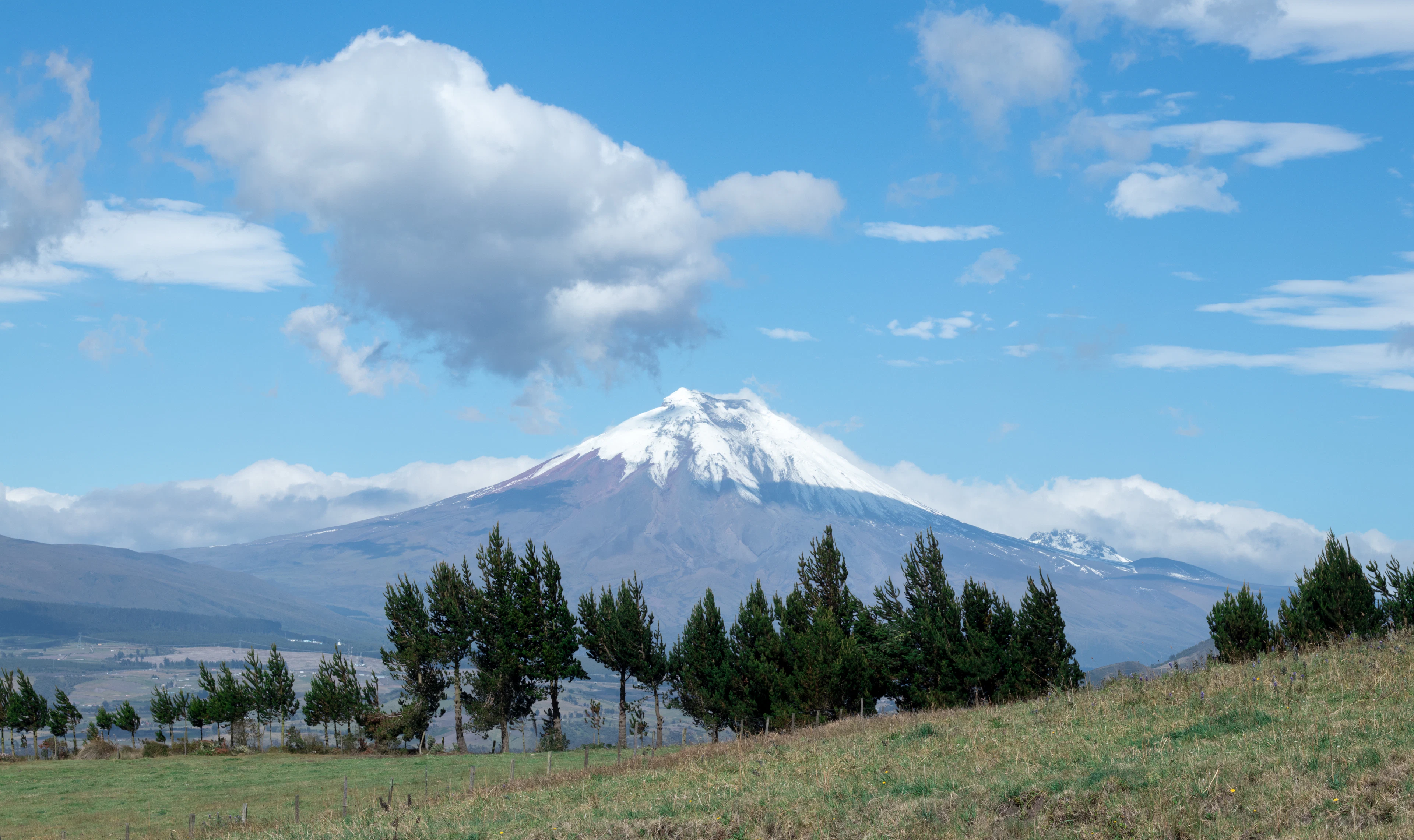 Snow-capped Cotopaxi volcano above a grassy high plain where animals graze, Ecuador
