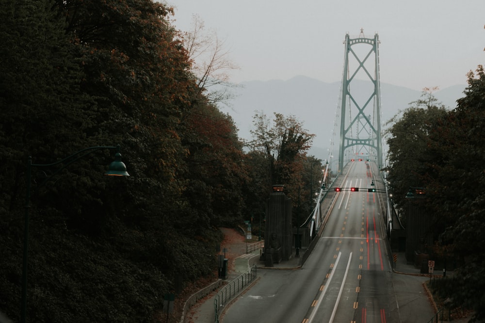 gray bridge surrounded of trees