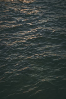 A gentle water ripple reflecting soft golden light, symbolizing purity and calm.